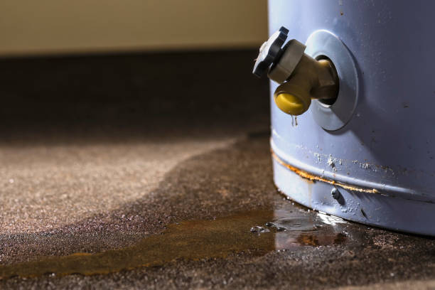 Best Water damage restoration near me  in Morristown, IN