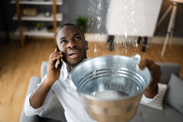 Best Basement water damage restoration  in Morristown, IN