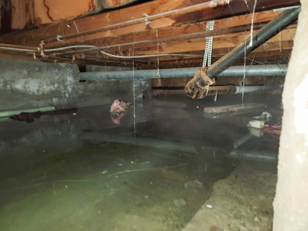 Best Ceiling water damage repair  in Morristown, IN