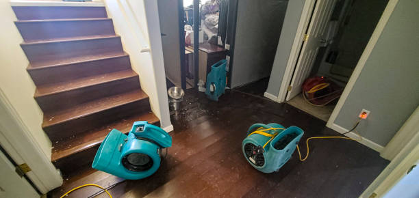 Best Water damage cleanup near me  in Morristown, IN