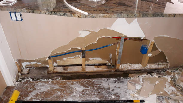 Best 24/7 water damage repair  in Morristown, IN